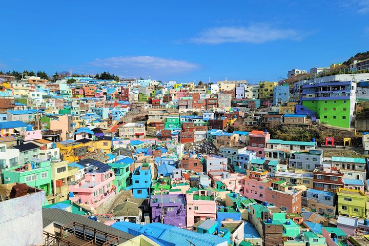Explore the colorful hillside of Gamcheon Culture Village and indulge in local delicacies at Jagalchi Fish Market all while soaking in Busan's unique charm and culture.